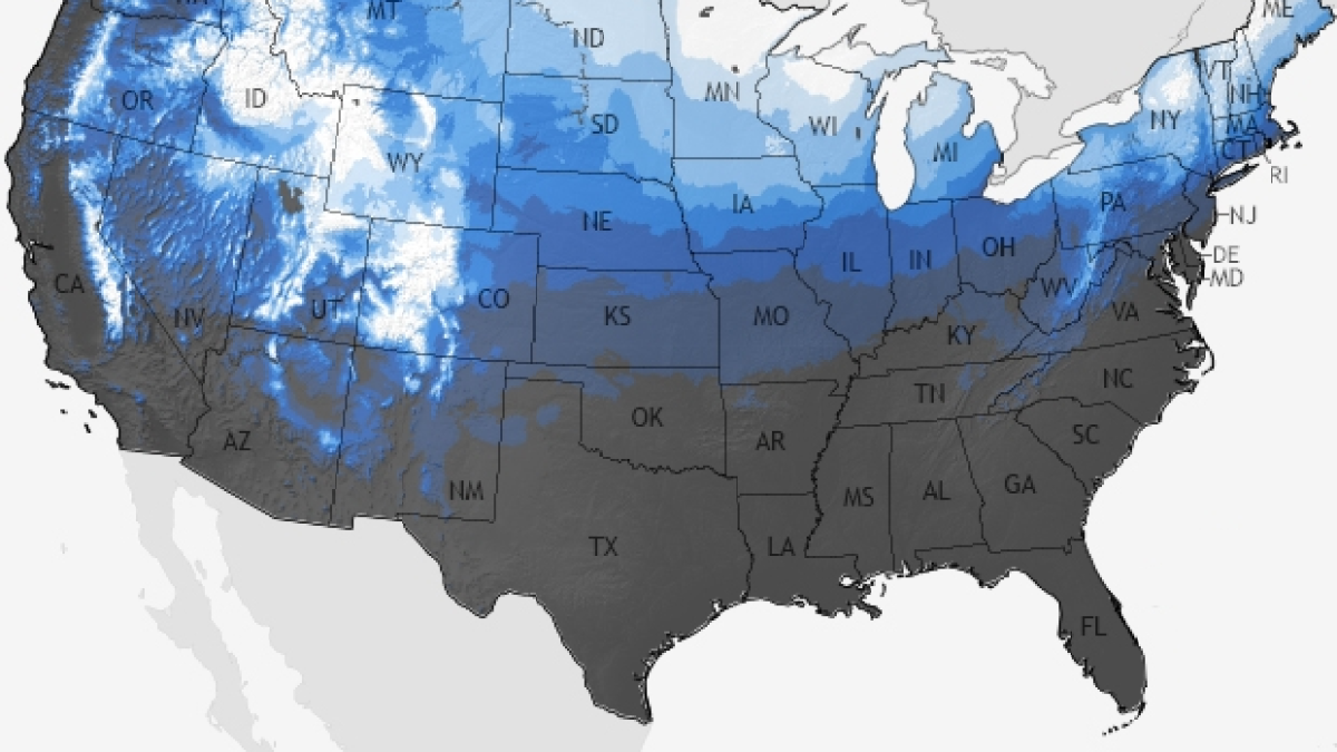 Noël blanc au Texas températures historiques et probabilités de neige