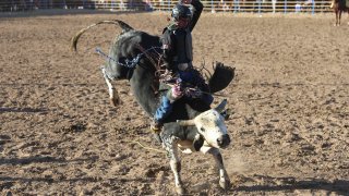 MOCTEZUMA, MEXICO – NOVEMBER 19: Gama Salazar competes in the bull riding event during the third competition date of the Sonora Rodeo circuit on November 19, 2023 in Moctezuma, Mexico. (Photo by Luis Gutierrez/Norte Photo/Getty Images)