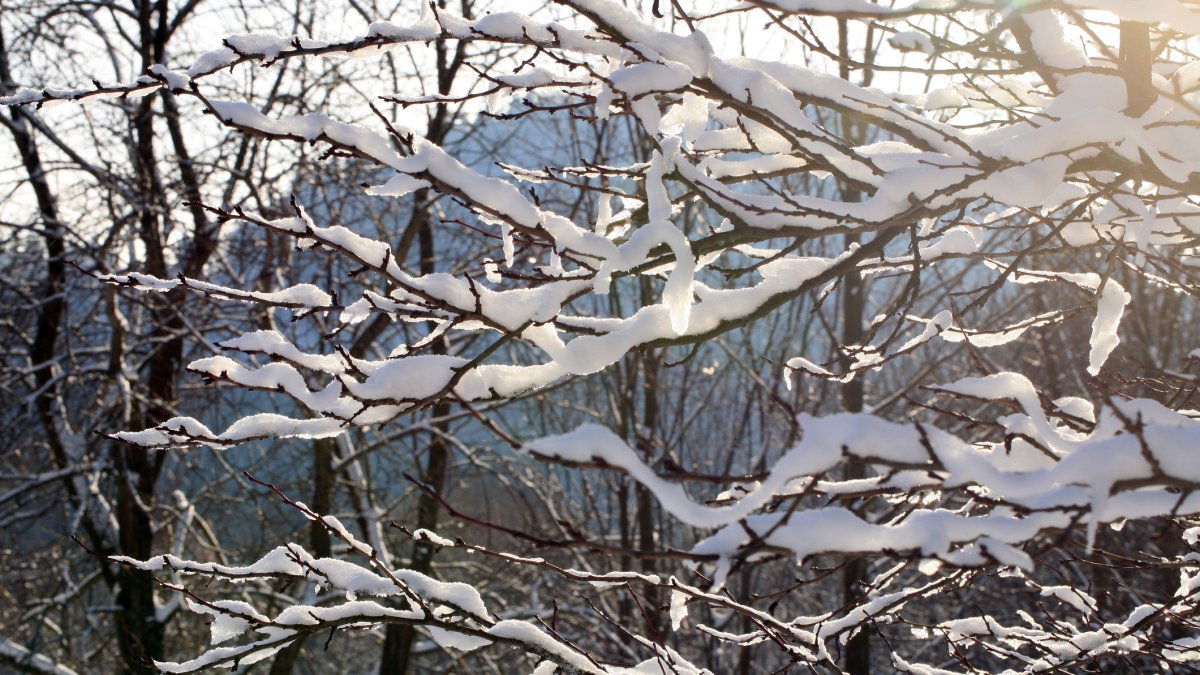 When is the first day of winter in 2023 and what is the winter solstice When is the first day of winter in 2023 and what is the winter solstice