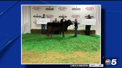 Palestine 10-year-old wins big at Fort Worth Stock Show