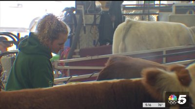 Junior Steer move-in day at FWSSR