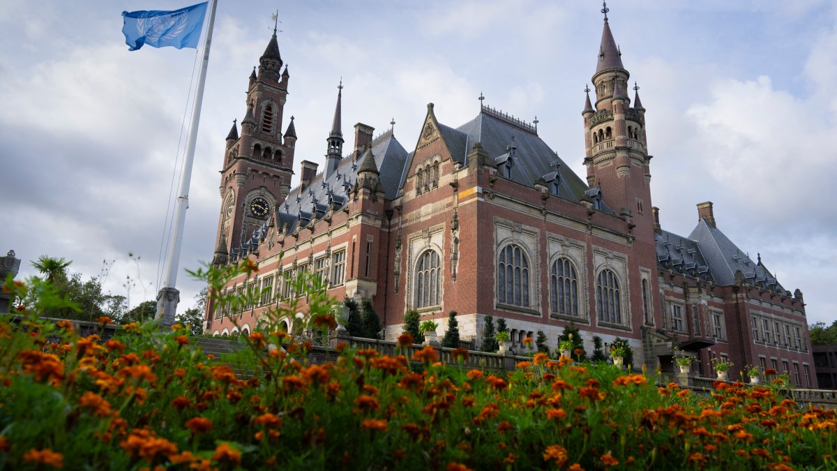 UN court set to issue ruling in South Africa genocide case against Israel – NBC 5 Dallas-Fort Worth - Vimarsana News