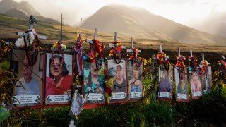 Hawaii Wildfire Victim Identifications