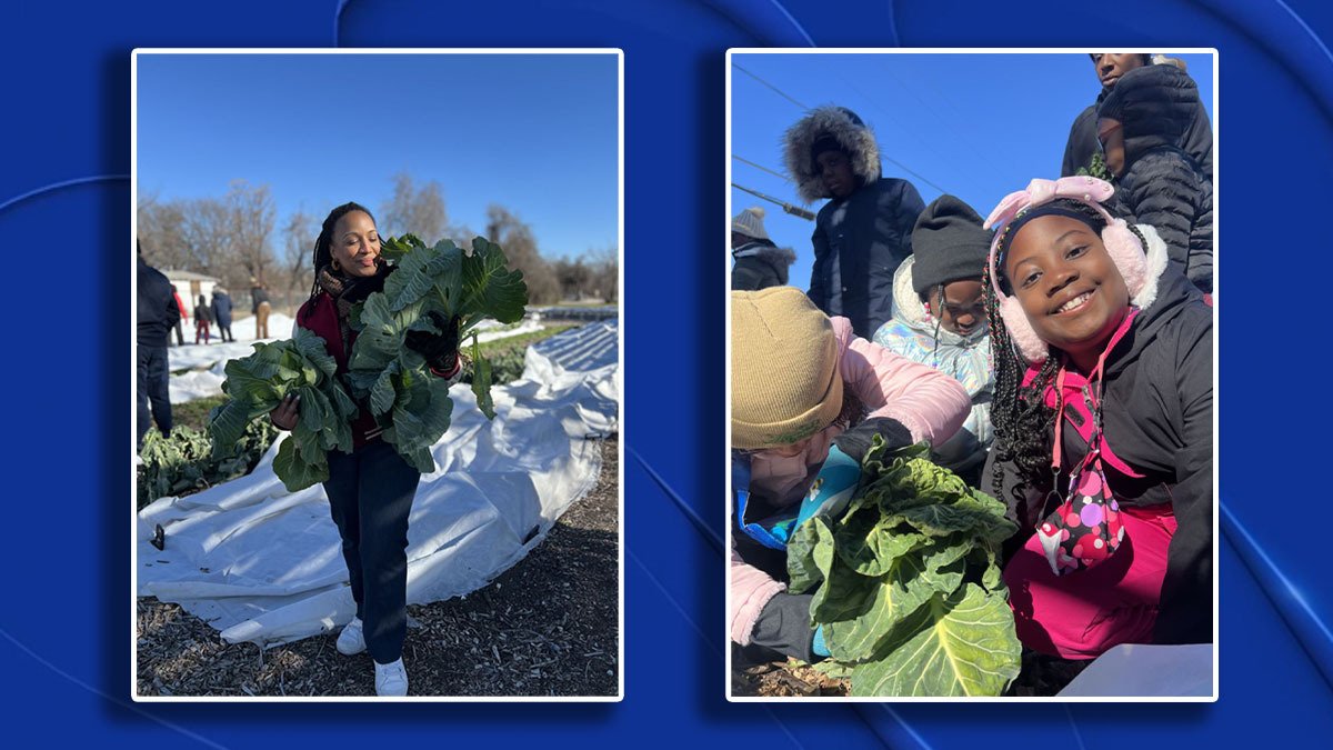Local Chef teaches kids in South Dallas how to grow vegetables, cook healthy meals - Vimarsana News