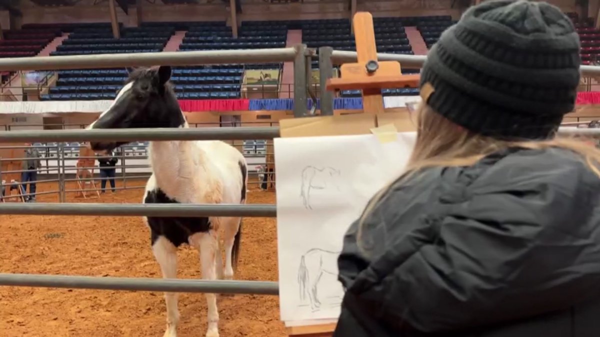 Students learn the art of cowboy culture at FWSSR - Vimarsana News