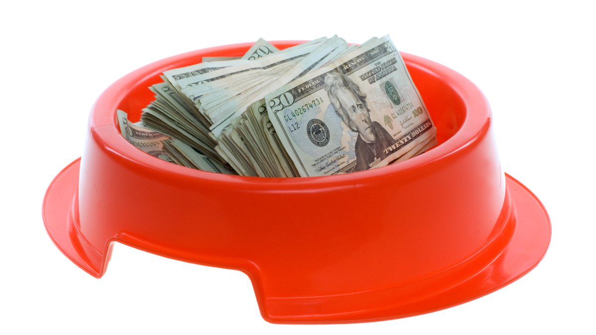 Costly kibble: Pittsburgh dog eats $4K stack of cash