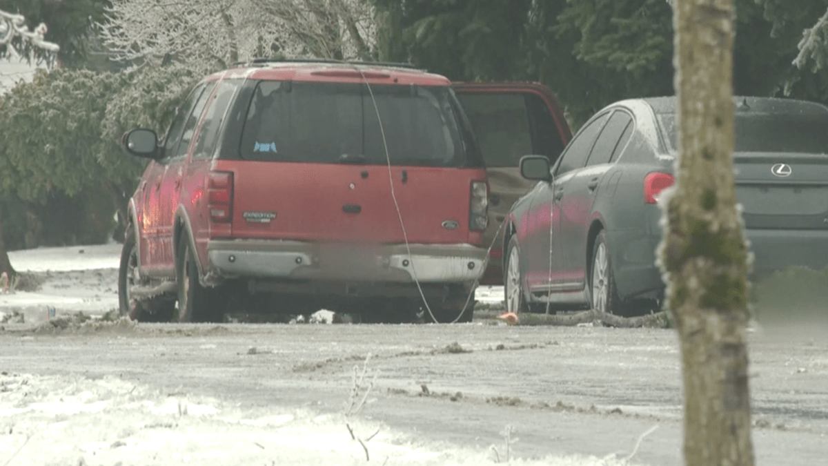 2 adults, teen electrocuted in Oregon ice storm – NBC 5 Dallas-Fort Worth - Vimarsana News