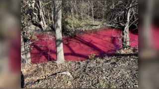 A soap spill is being blamed for turning a creek red in Richardson, Jan. 28, 2024.