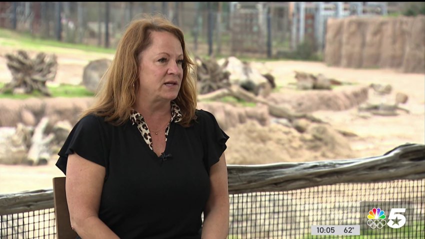 New Dallas Zoo CEO looks to future after troubled incidents