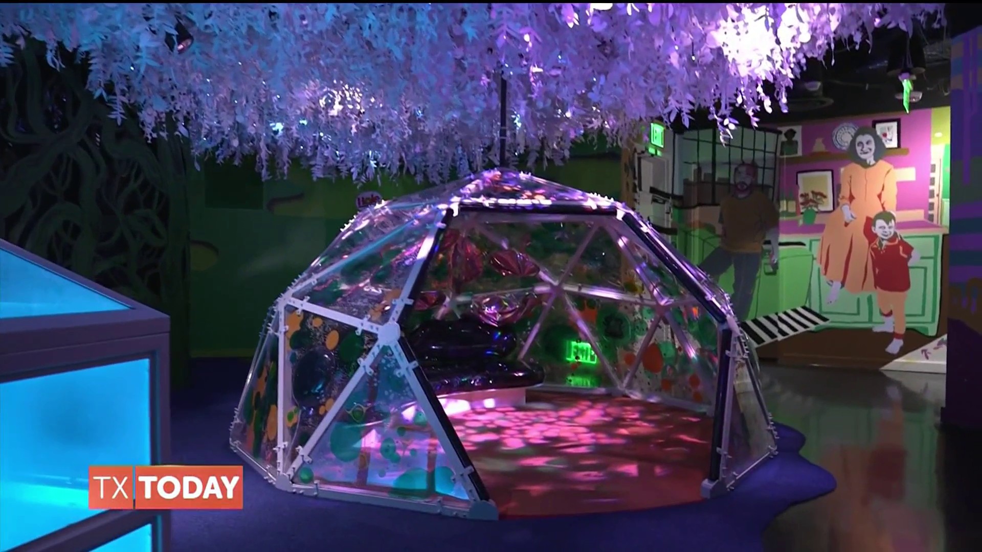 Visit the family-friendly cosmic adventure of Meow Wolf Grapevine