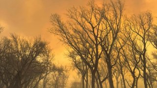 In this photo provided by the Flower Mound, Texas, Fire Department, Flower Mound firefighters respond to a fire in the Texas Panhandle, Tuesday, Feb. 27, 2024. A rapidly widening Texas wildfire doubled in size Tuesday and prompted evacuation orders in at least one small town. (Flower Mound Fire Department via AP)