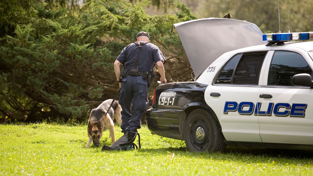 K9 unit helps arrest 15, seize 150 electronics in child exploitation probe