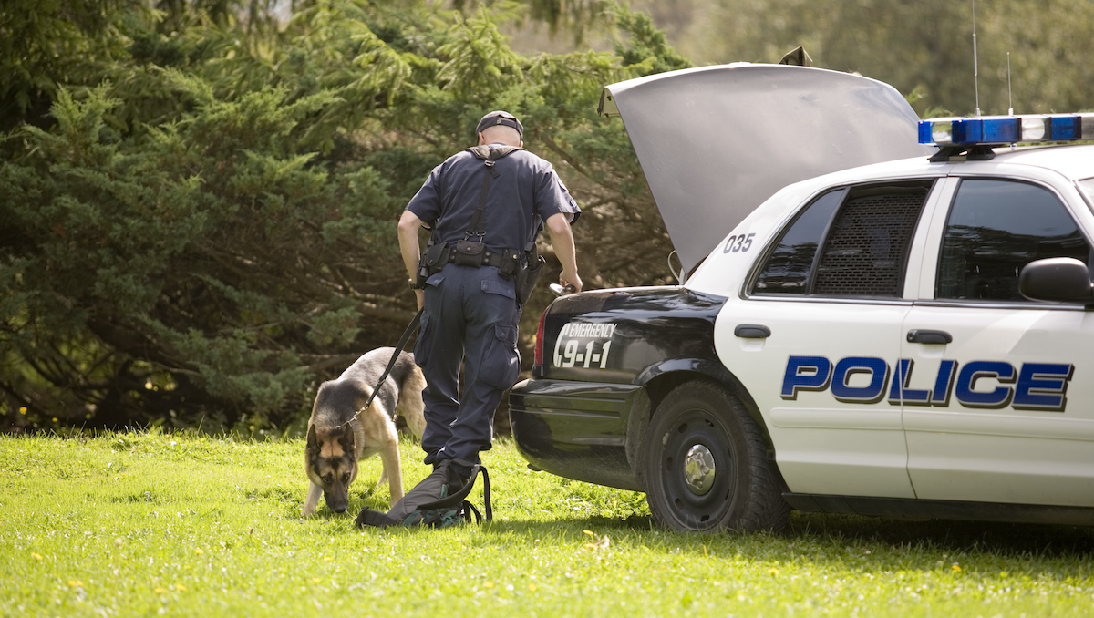 K9 unit helps arrest 15, seize 150 electronics in child exploitation probe