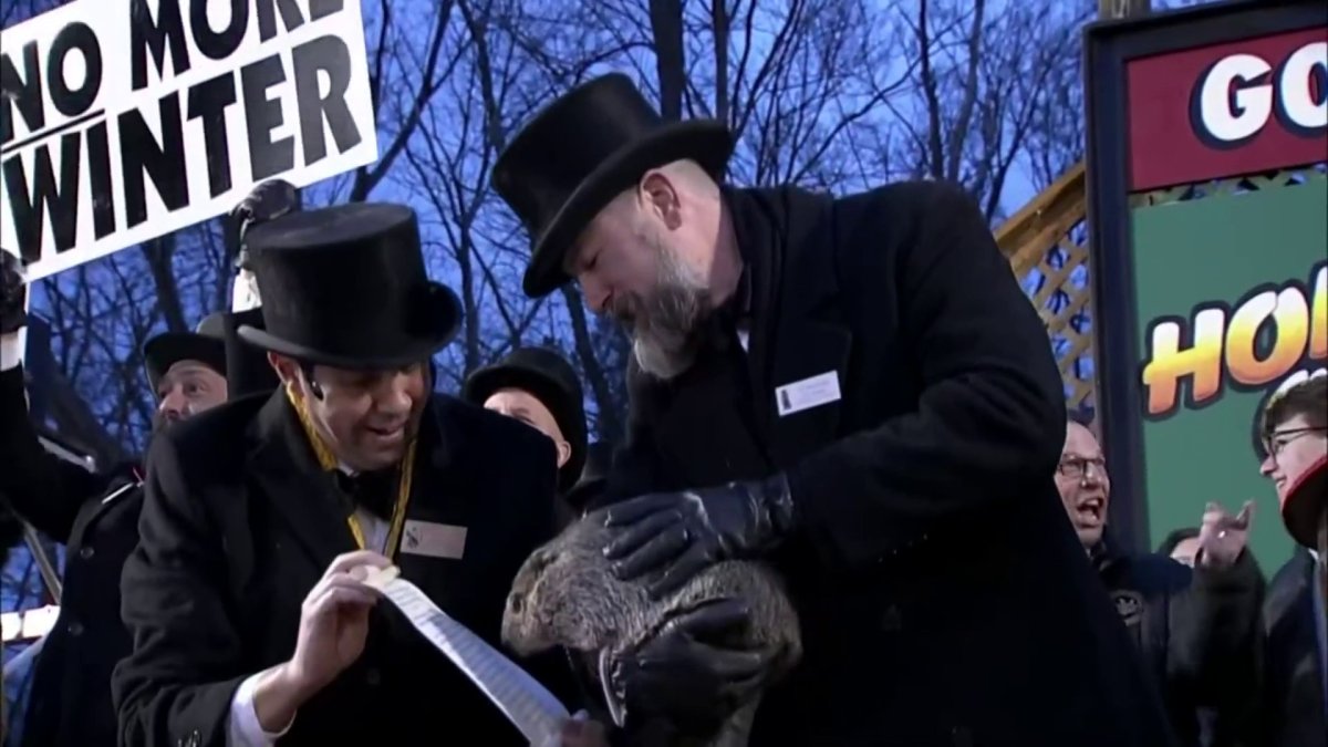 Groundhog Day 2024 forecast: Will Punxsutawney Phil see his shadow? – NBC 5 Dallas-Fort Worth - Vimarsana News
