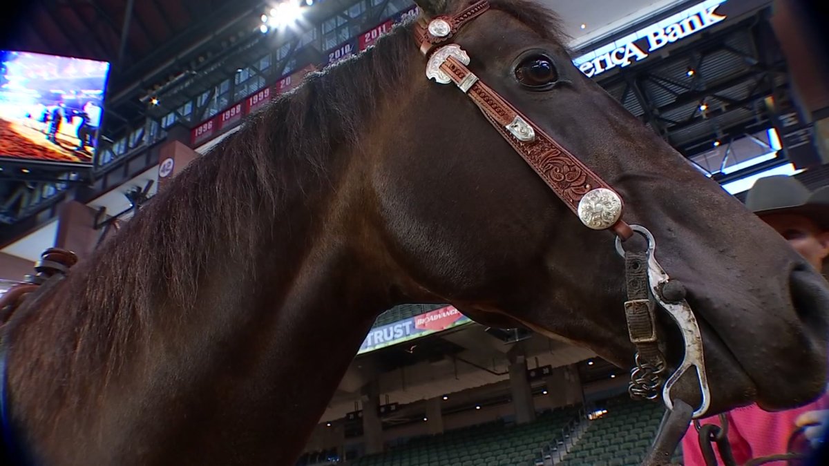 American Western Weekend kicks off in Arlington NBC 5 DallasFort Worth