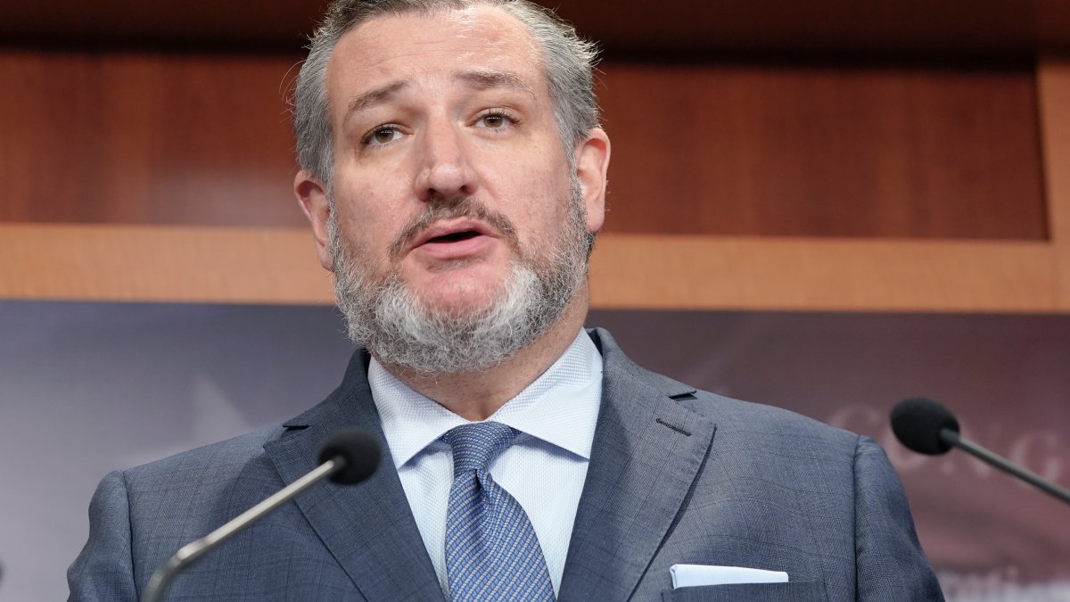 Sen. Ted Cruz Says There's a 50-50 Chance of a Legislation Passing