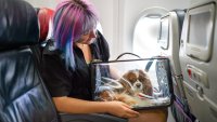A big airline is relaxing its pet policy to let owners bring the companion and a rolling carry-on