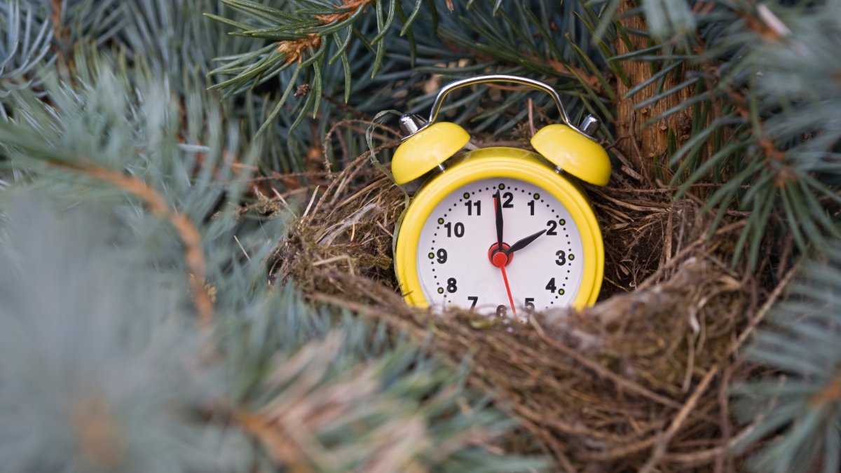 Why sleep experts say we should stop changing the clocks for daylight saving time
