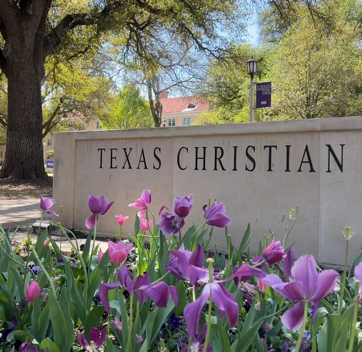 Power of the flower: The story behind TCU's tulips