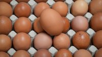 Bird flu resurgence drives up egg prices, spurring some to stock up