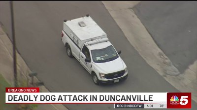 3 dogs attack, kill one-year-old child in Duncanville