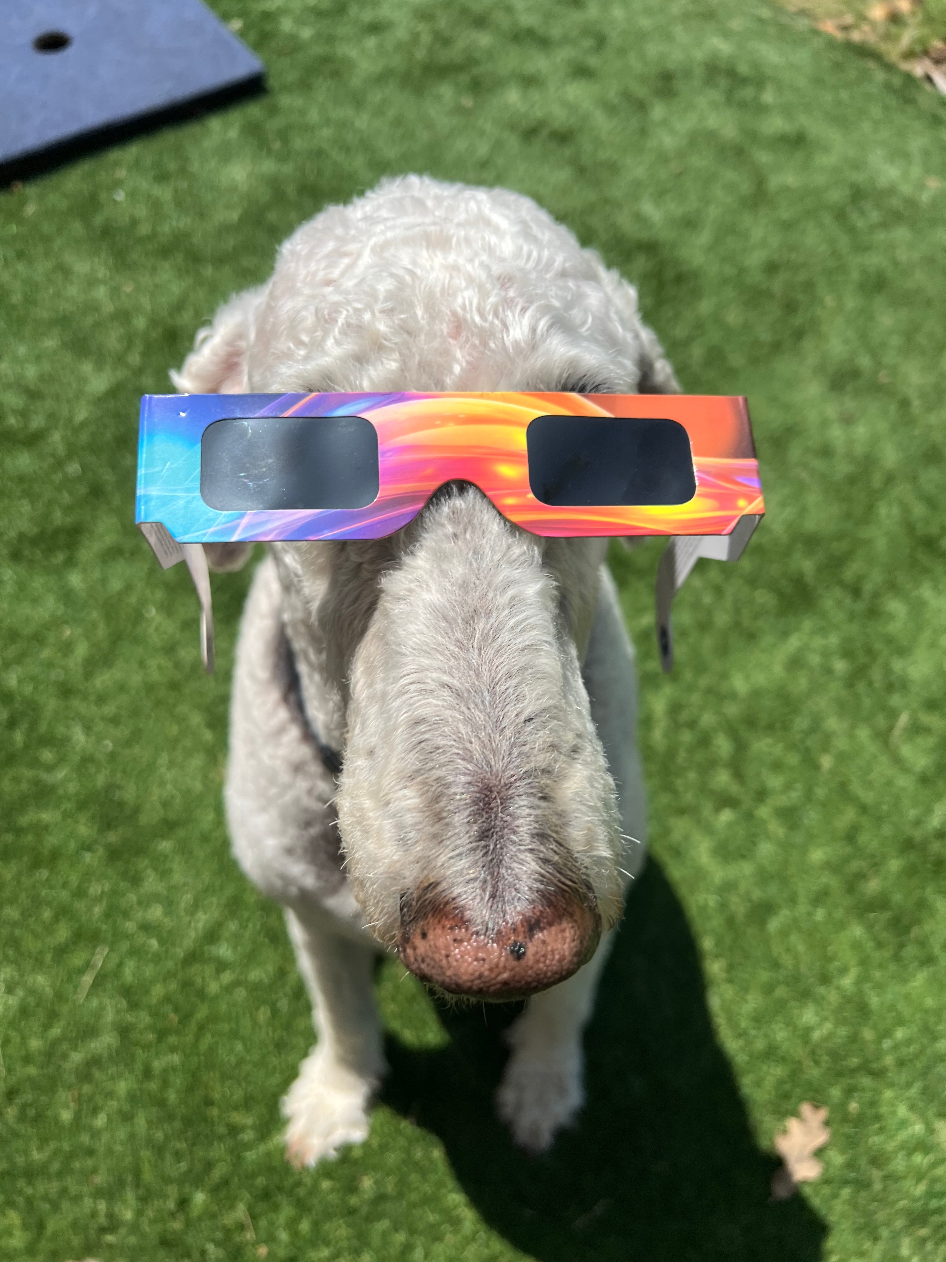 North Texans share photos from 2024 total eclipse NBC 5 DallasFort Worth