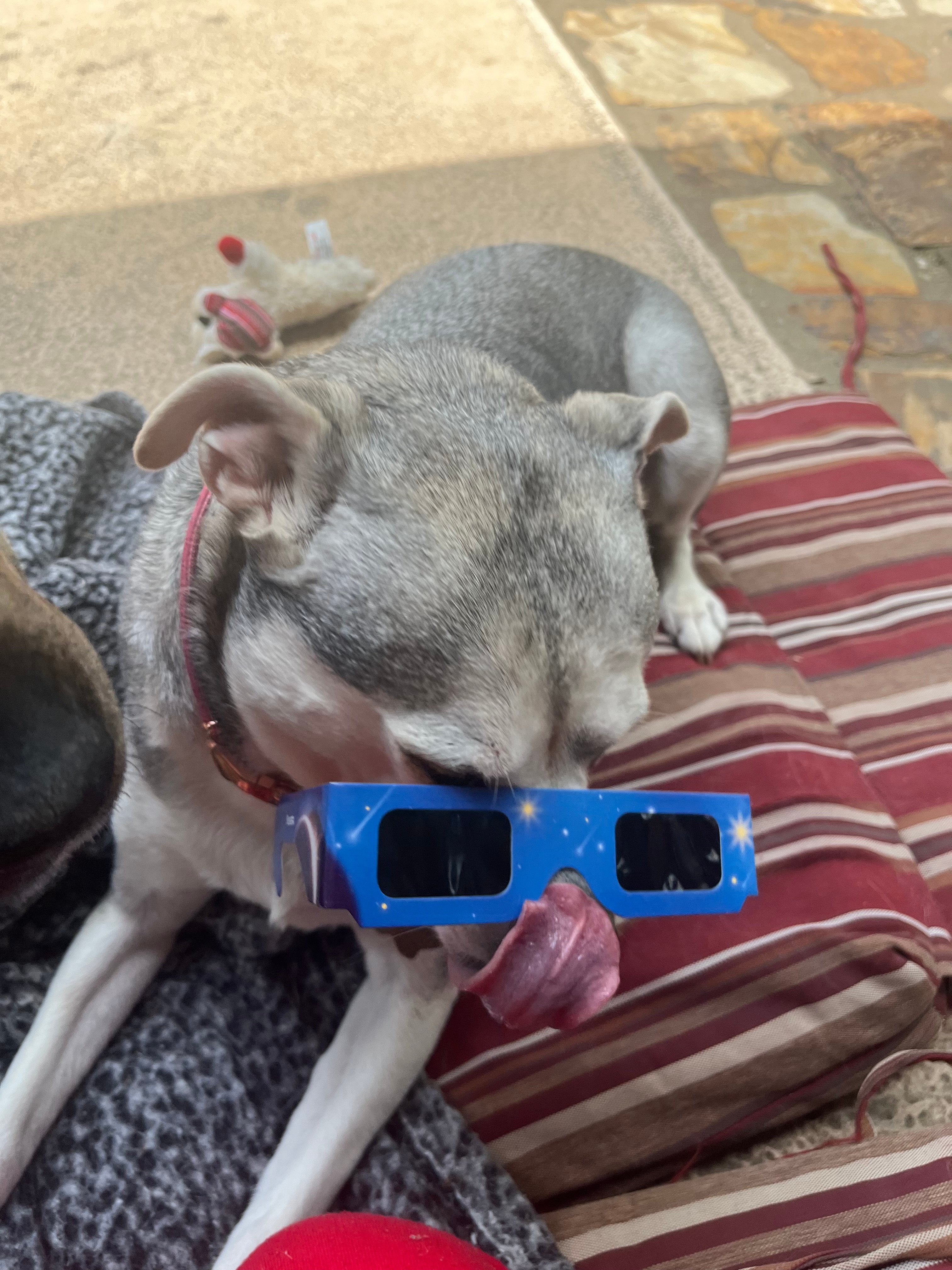 North Texans share photos from 2024 total eclipse NBC 5 DallasFort Worth