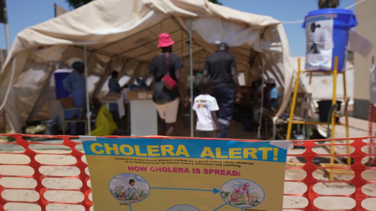 UN approves an updated cholera vaccine – NBC 5 Dallas-Fort Worth - Vimarsana News