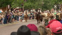 The ‘Fort Worth Herd’ is looking for drovers