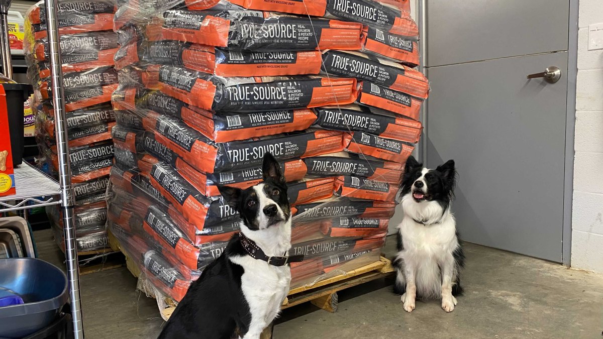 Need pet food or kitty litter? Operation Kindness can help – NBC 5 Dallas-Fort Worth - Vimarsana News