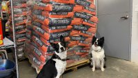 Operation Kindness to host free pet food pantry drive-thru