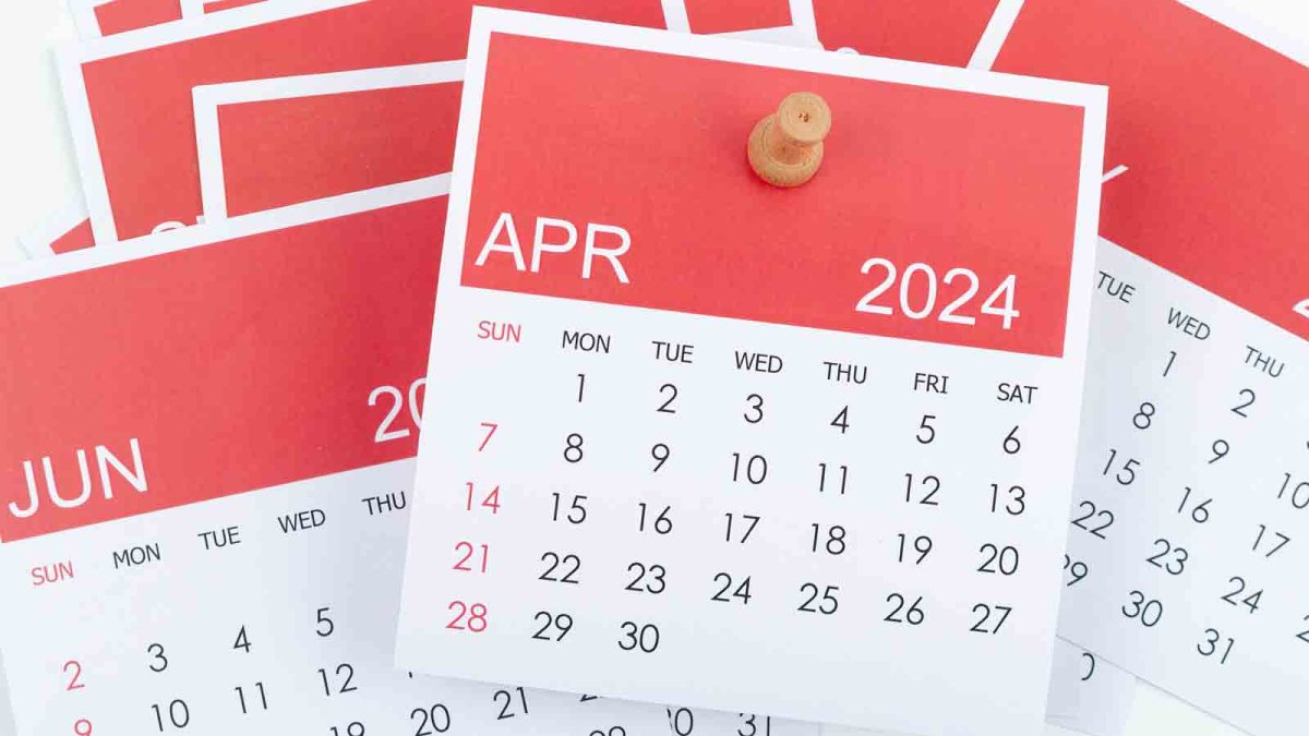 How many palindrome dates are there in 2024? NBC 5 DallasFort Worth