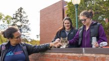 Max the campus cat is greeted by students at Vermont State University in Castleton.