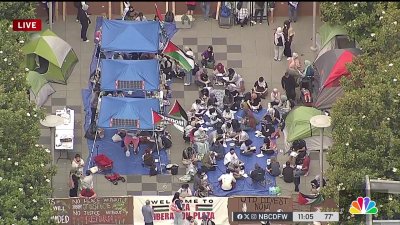 Protestors gather at UT Dallas to protest Israel-Hamas war
