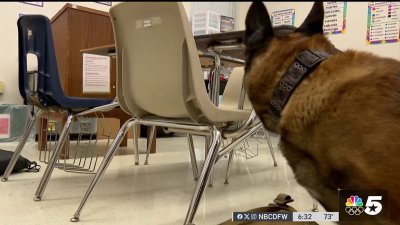 Trained dogs find guns, drugs on North Texas school campuses