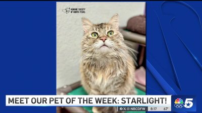 Pet of the Week: Starlight!