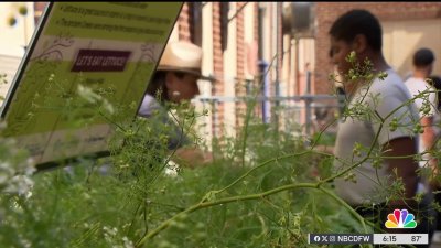 Middle schoolers feed classmates while tending to ‘learning garden'
