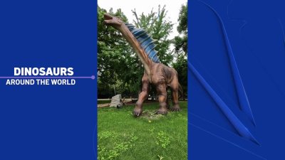 Love dinosaurs? There's a new exhibit in North Texas