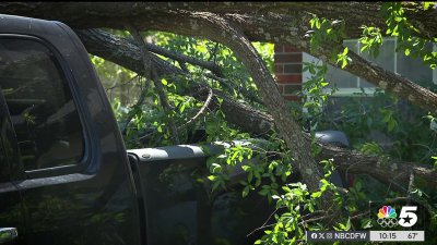 Handling tree damage after storm