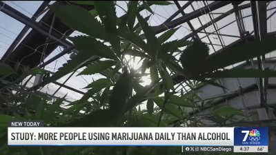 Daily marijuana use outpaces daily drinking in the US, a new study says