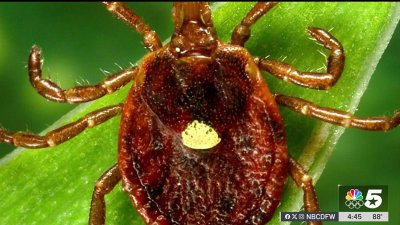 Tips to protect yourself against the lone star tick