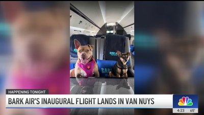 Airline ‘Bark Air' lands inaugural dog-friendly flight in LA