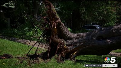 Managing cleanup, insurance questions after storms