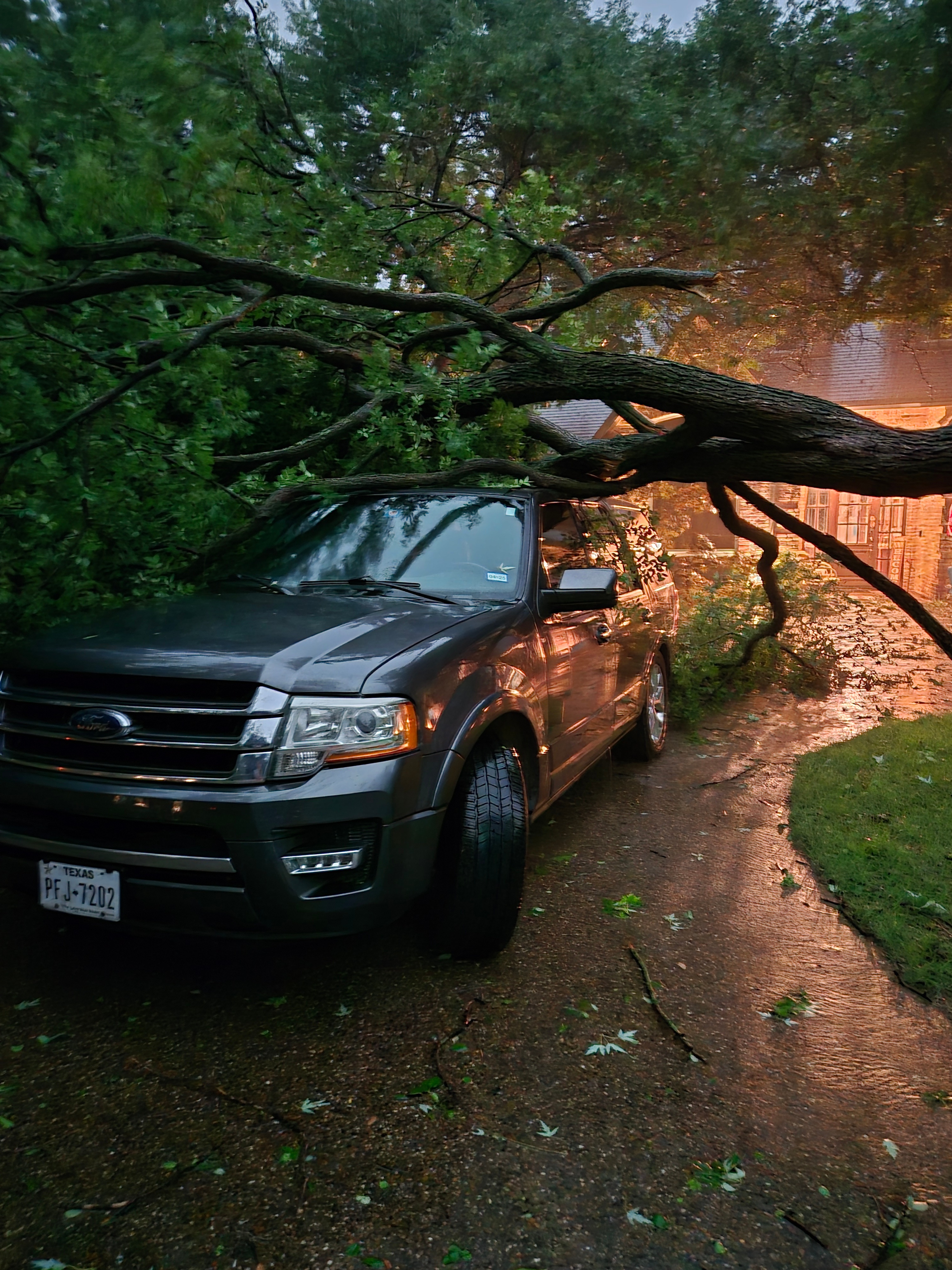 Parker texas, tree down