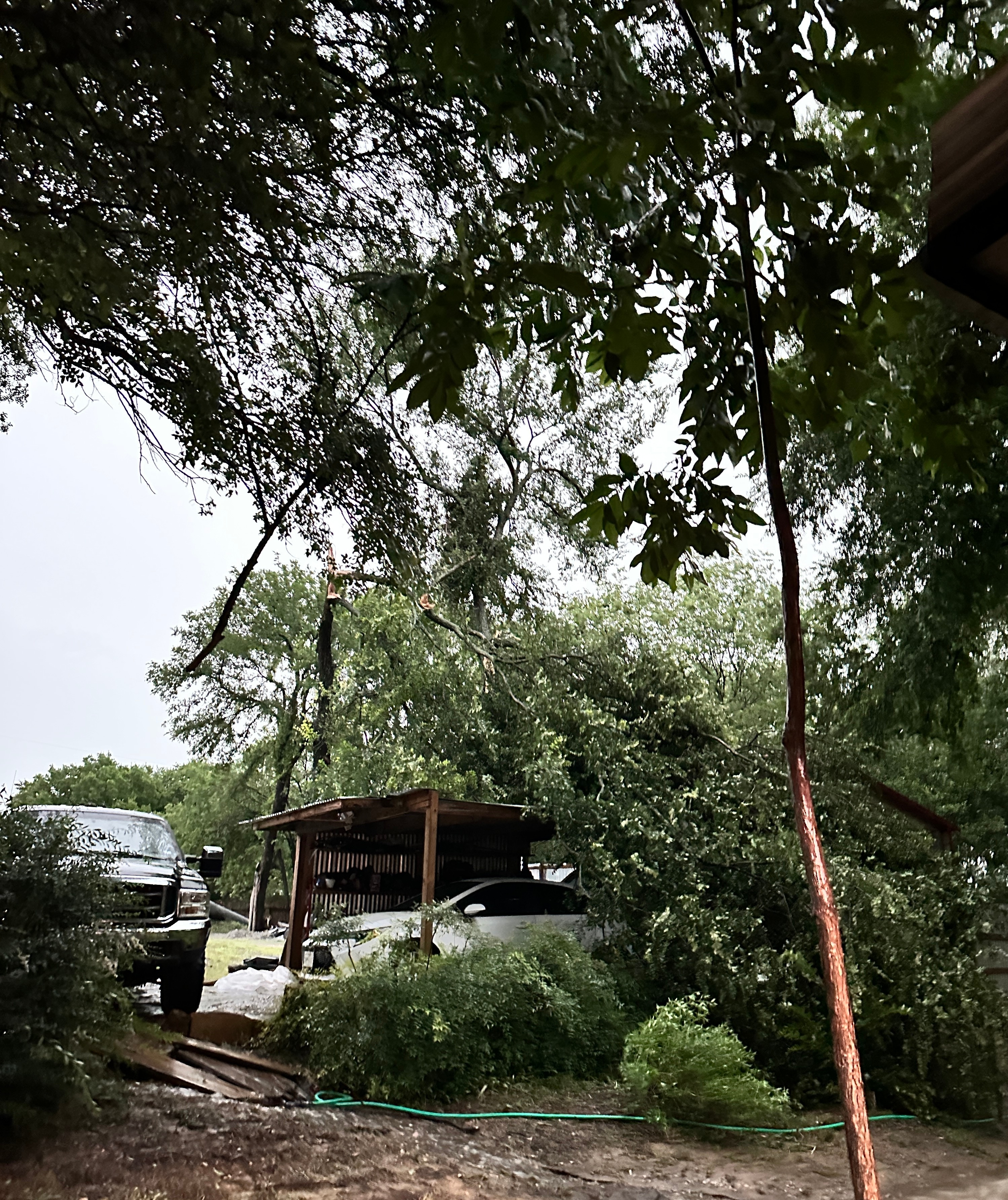 Tree snapped in half over car port due to wind gusts of 80+ mph