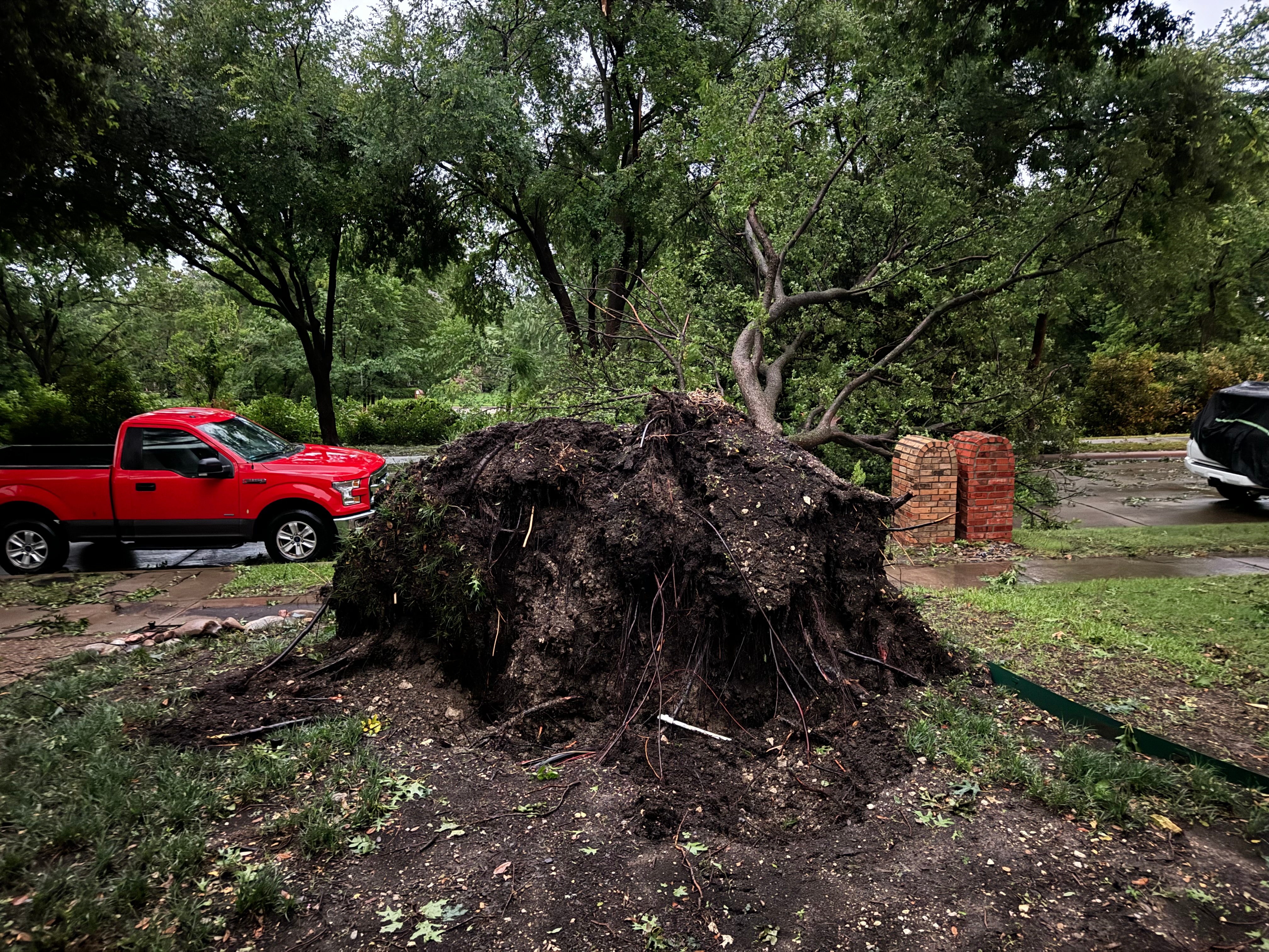 Talk about luck! Tree uprooted and fell right between my truck and mail box!