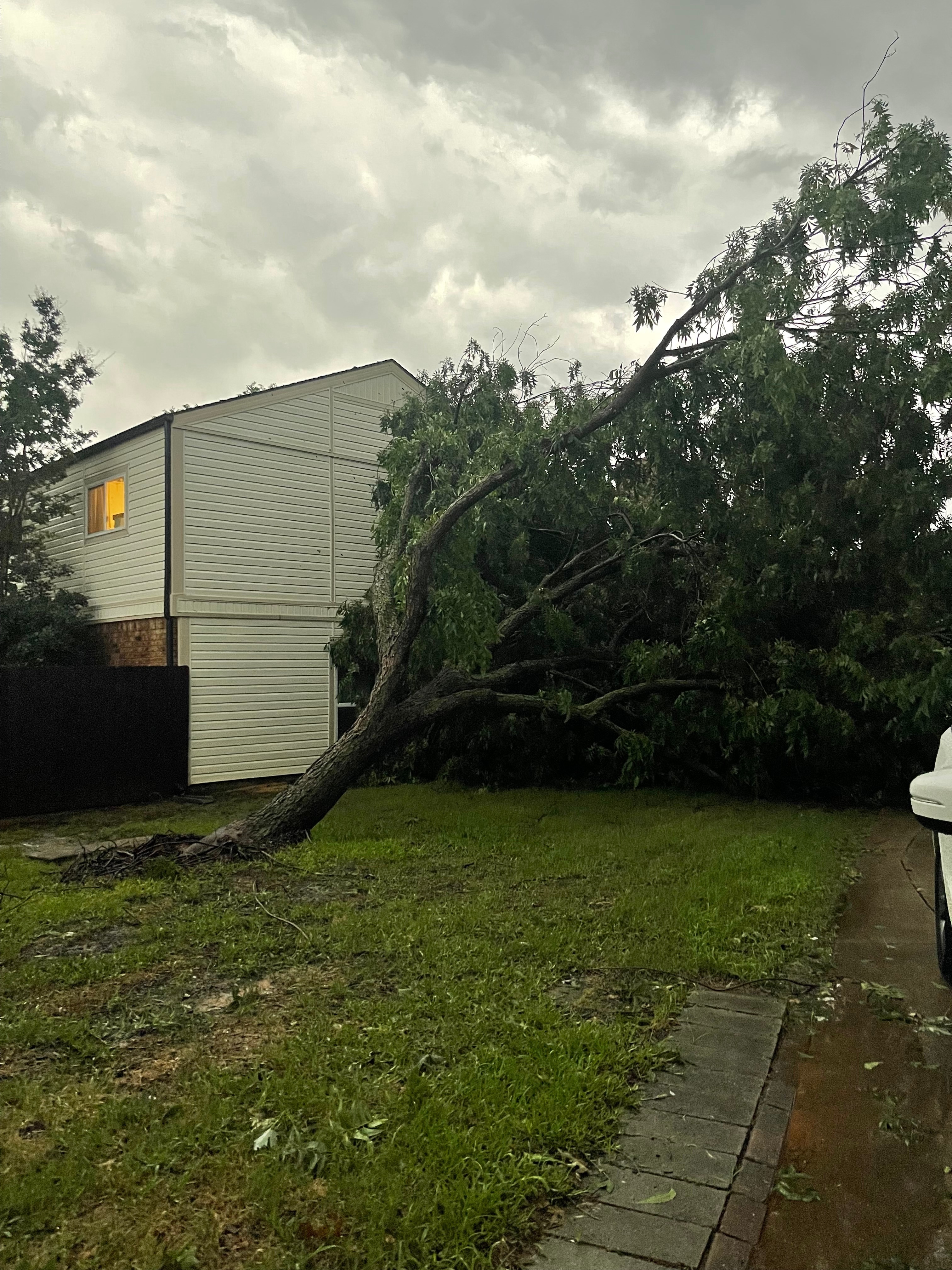 Our tree was blown down during the storm this morning. We live in Flower Mound.