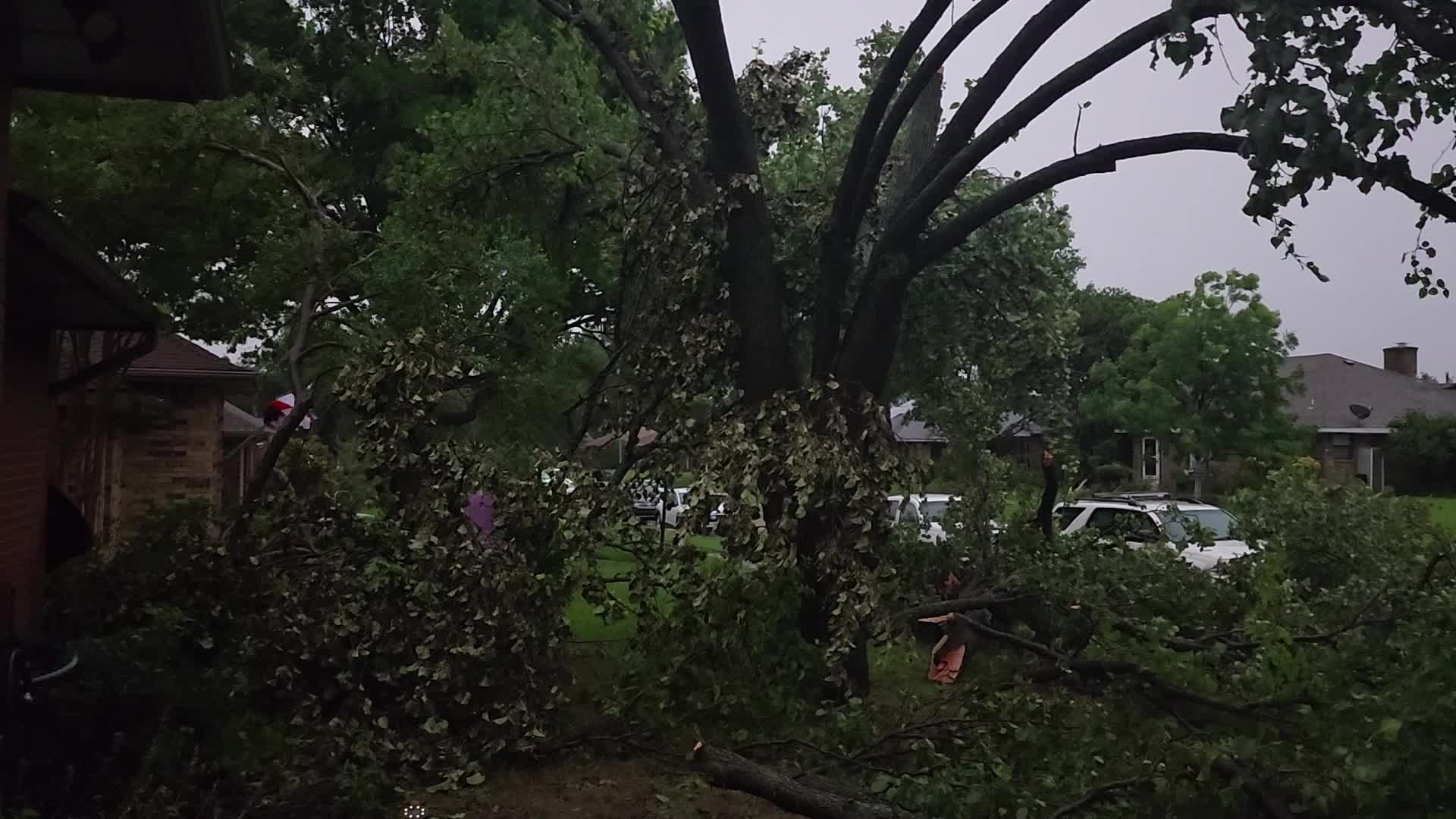 Multiple trees down, fences blown away, neighbor’s solar panels ripped off
