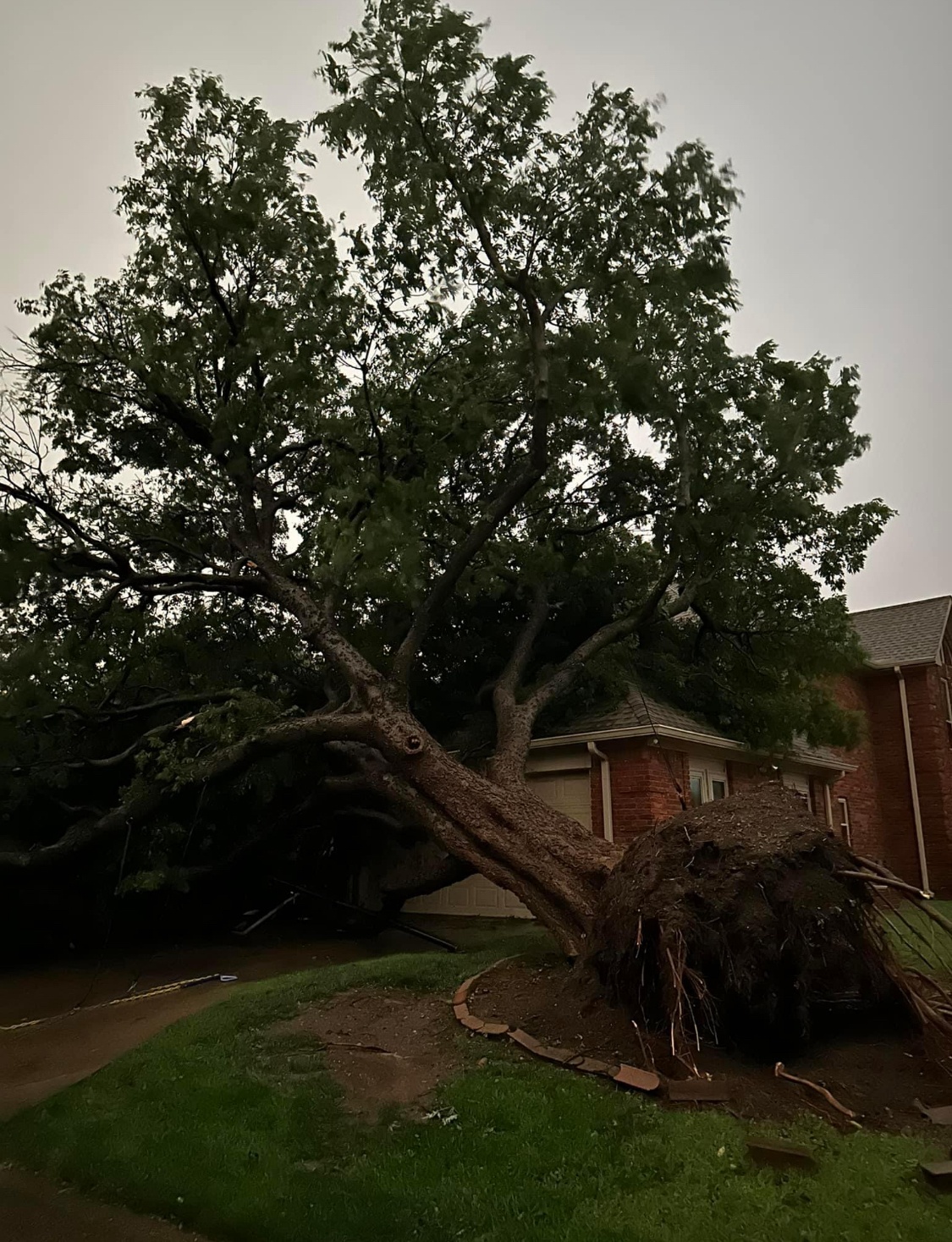 Downed tree in Plano the Quail Creek neighborhood. Independence and Legacy.