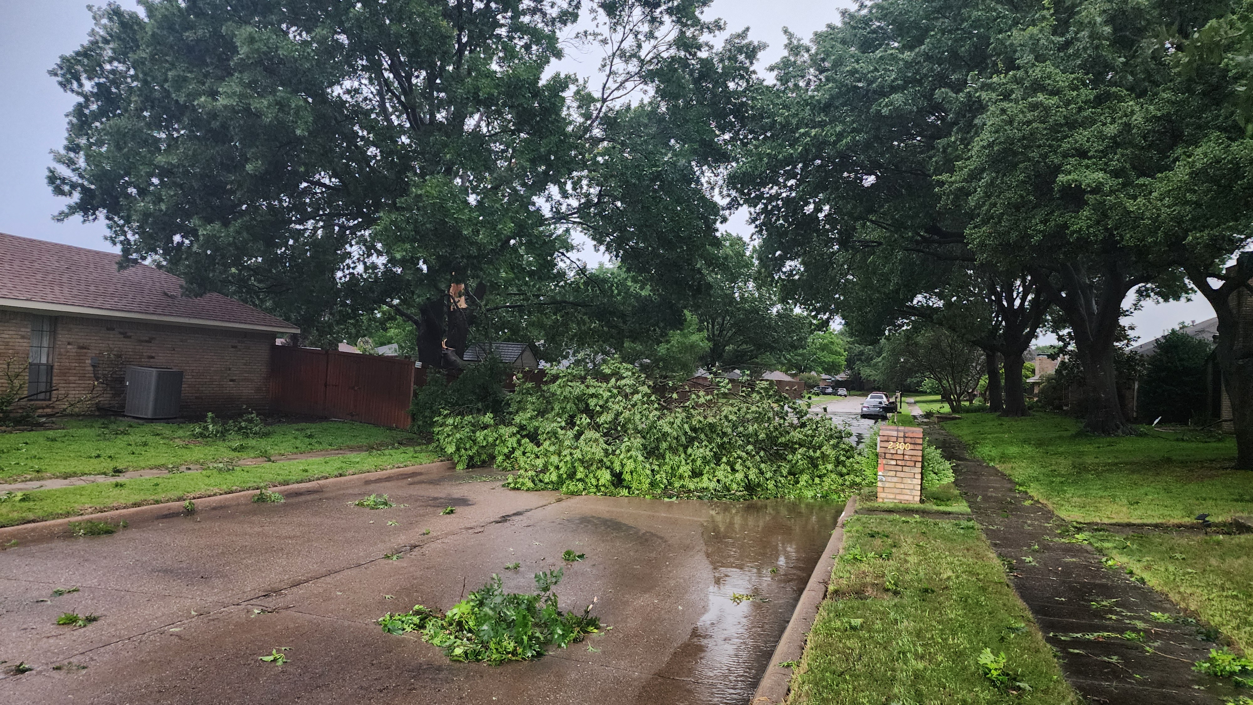 From David Morgan plano near park and ohio<br />
 Tree down blocking street.
Park road a lot of trees blocking west bound laane every quarter mile or so.
Sent from my T-Mobile 5G Device<br />
Get Outlook for Android